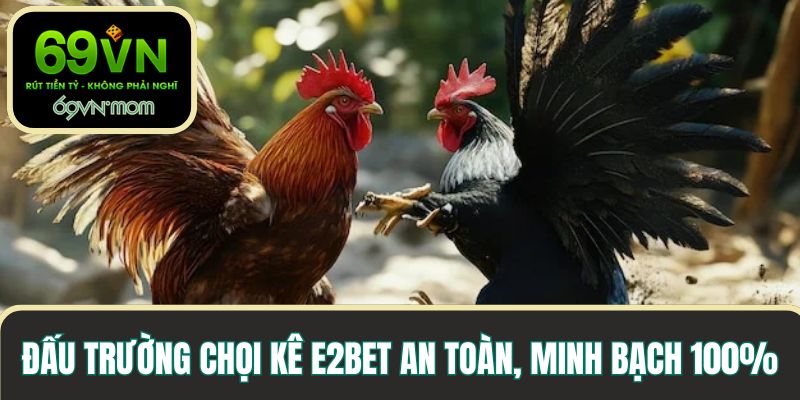 Đấu trường chọi kê E2BET an toàn, minh bạch 100%